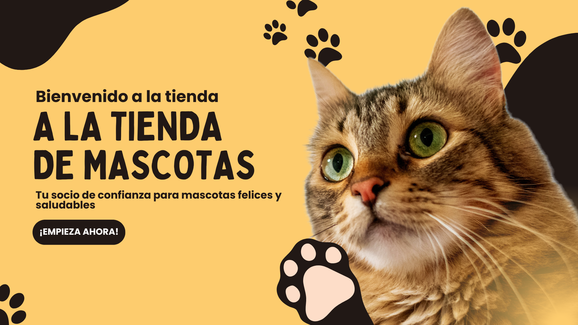 🐾 ¡NUEVA COLECCIÓN PET YA DISPONIBLE! 🐾